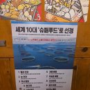 동래슈퍼 | 부산 동래 연어 맛집 [미식가의 연어] 다녀온 후기!