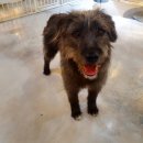 롯데백화점.수내역 이미지