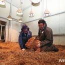 한우사육사 이미지