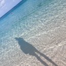 오리온 | 오키나와 아이와 가기 좋은 숙소 ‘오리온 모토부’ 내돈내산 실제 후기