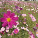 아름다운나날경로당 이미지