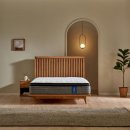 콤피펫쇼퍼서비스 | [2025 침대 계급도] 아직도 침대는 과학? 유형별 인생 침대 추천 및 할인 꿀팁 총정리