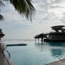 프라이빗리조트 | 베트남 다낭 코이 리조트 수영장&amp;프라이빗비치&amp;조식뷔페 후기