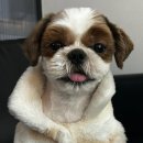 송도 종합 동물병원 이미지