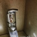 통영반려견 셀프목욕탕 이미지