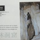 자연미림 이미지