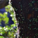 제주조각공원 이미지