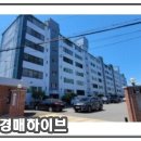 불로시민체육공원 이미지