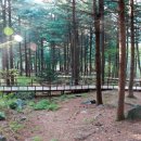 청태산자연휴양림 이미지