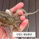 의항리해상공원 이미지