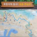 중앙공원 민주공원.장군암.수정4동산림초소.구봉산 맨발황톳길.좌천역3번.24.4.24 이미지