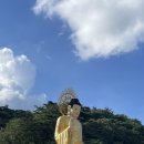 한방염소촌 이미지