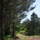 곽지올레 이미지