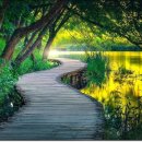 행복한나무집 이미지