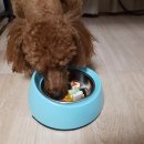 베이컹리 이미지