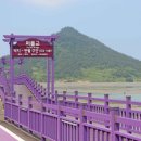 UN이 인정한 한국 여행지… 색감 미쳤다는 보라섬의 정체 이미지