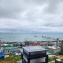 스테이 청춘 이미지