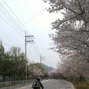 광장사 - 서귀포시 중앙로89번길 2 | 광장사