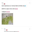 갈배들 진짜 순하다 이미지