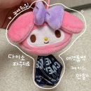 애견＆만들기 | 다이소 마이멜로디/키티 파우치로 만드는 애견풉백 파우치 만들기 후기
