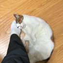 다함께매점 이미지