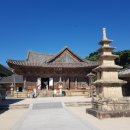 (주)삼보여행사