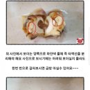 어울림펜션 캠핑장 이미지