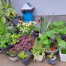 난곡동-40 이미지