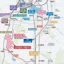 경희영어태권도장 이미지