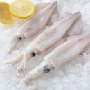 한치로2 네이버블로그