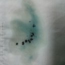 양지세탁 얼룩빼기 이미지