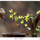 아름다운연출