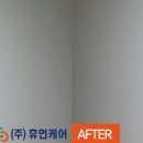 둔배미체육관 이미지