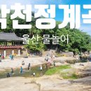 작천정휴게소 | 울산 아이와 가볼만한곳 울주군 작천정계곡 물놀이