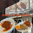 핫핑거 | 맛집 광주에서 칠리스치즈스틱 먹는방법 본투비버거 광주 동명동 내쉬빌 핫 모짜렐라와 치킨핑거 내돈내산