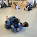 파라에스트라양주주짓수mma
