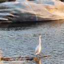 남원축산물명품관