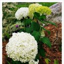 한두 어르신사랑방 이미지