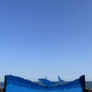 뚜벅이