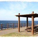 통갈치집 이미지