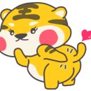 두리스킨케어