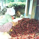 안동2리 이미지