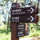 정자문화공원 이미지