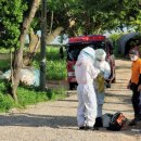 왕벌농장 이미지