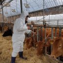 김영구농장 이미지