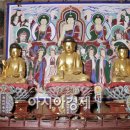 완도 수향사 목조관음보살좌상 이미지
