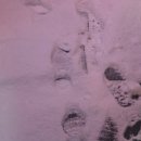 동화상사 | 세상아 동화처럼 살자