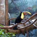 대중부동산 이미지