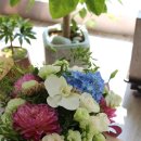 수원-0098 이미지