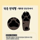 강아지발바닥